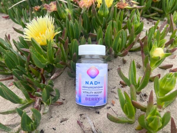 NAD+ & Ashwagandha Vitality Gummies – Berry Flavor (30 Count)